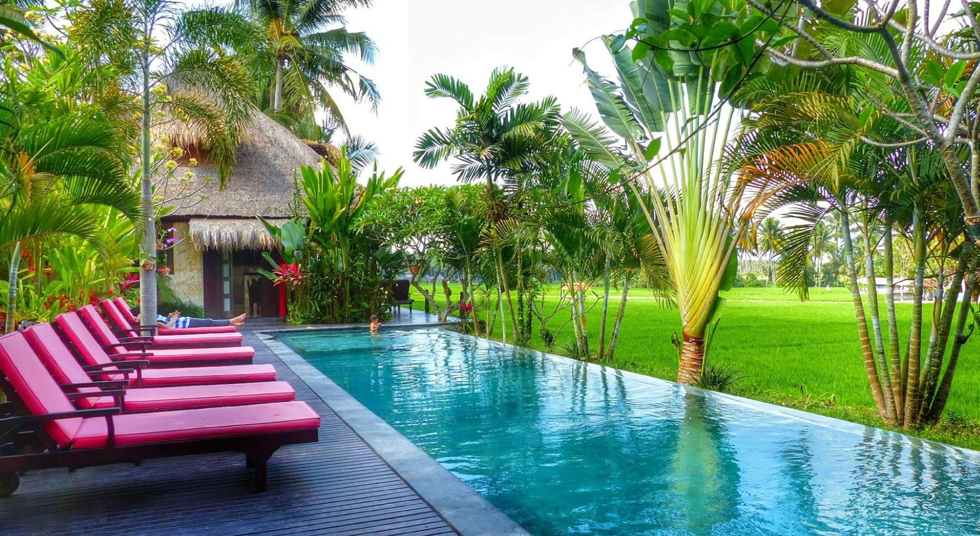 A poolside area with lounge chairs, a thatched-roof structure, and lush greenery.