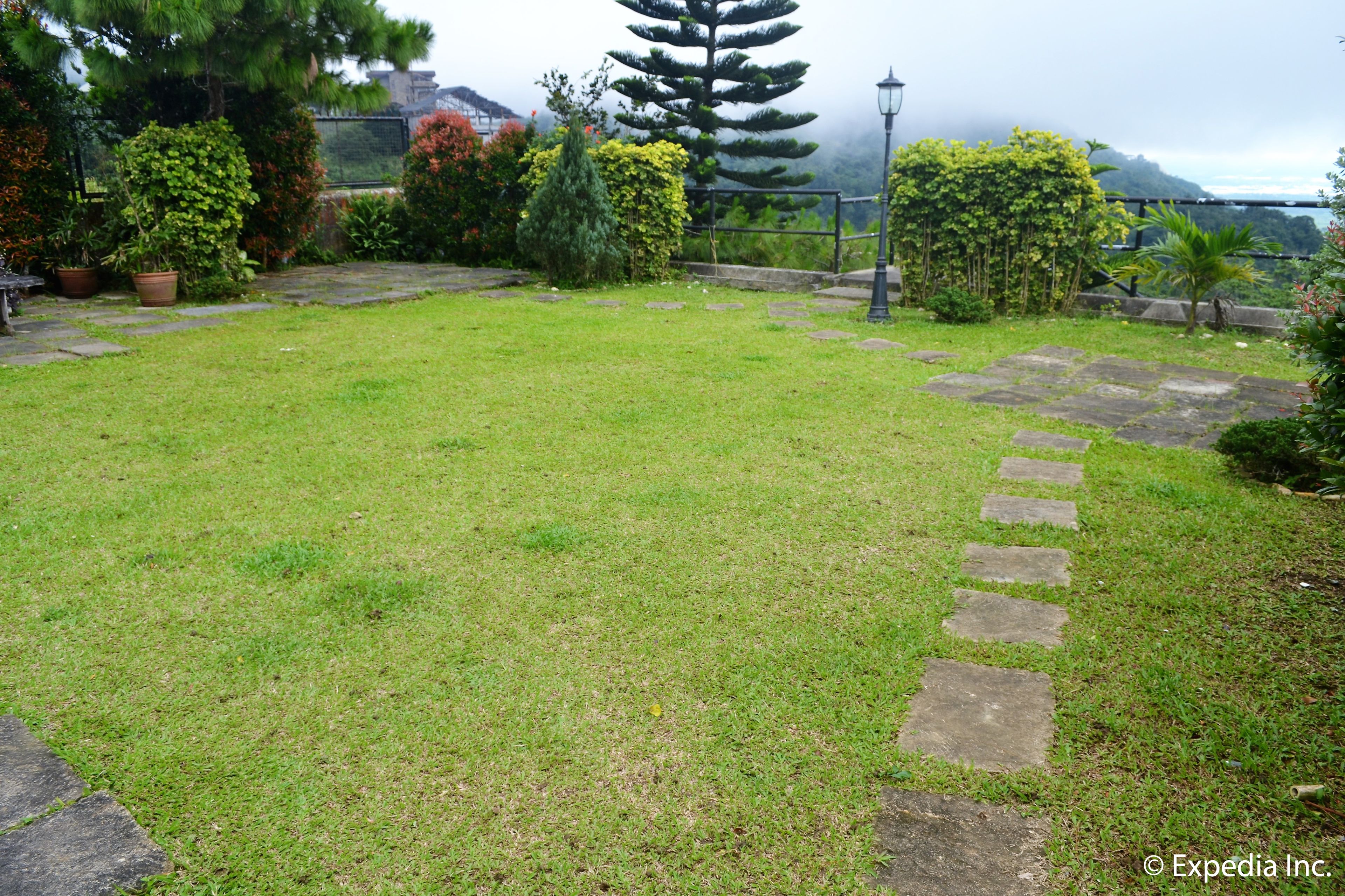 A well-maintained garden with stone pathways, various shrubs, and a large tree.