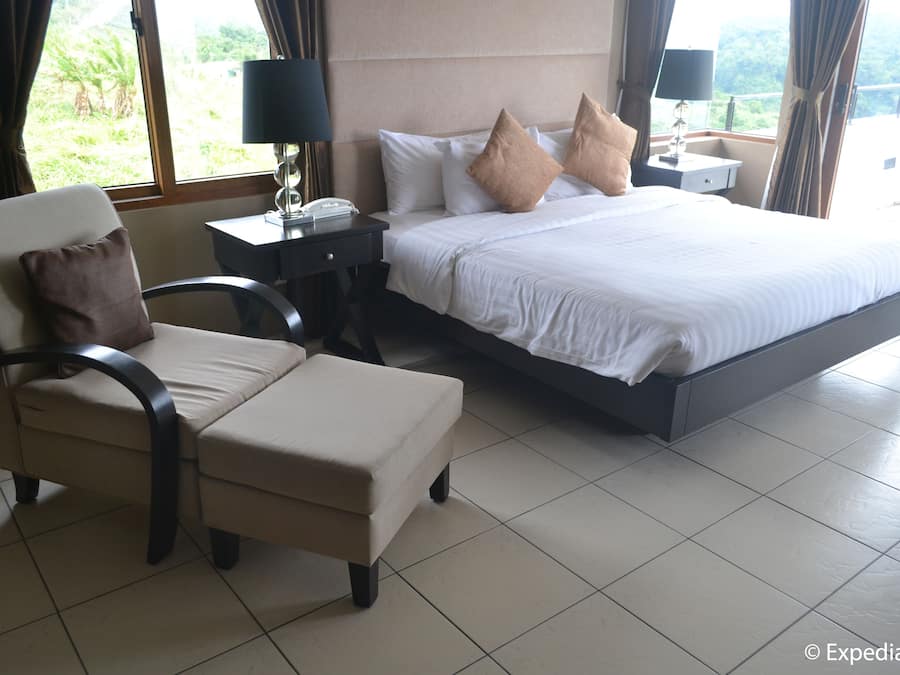 A hotel room with a large bed, a chair, a nightstand with a lamp, and a view of greenery outside.