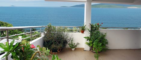 Beach/ocean view