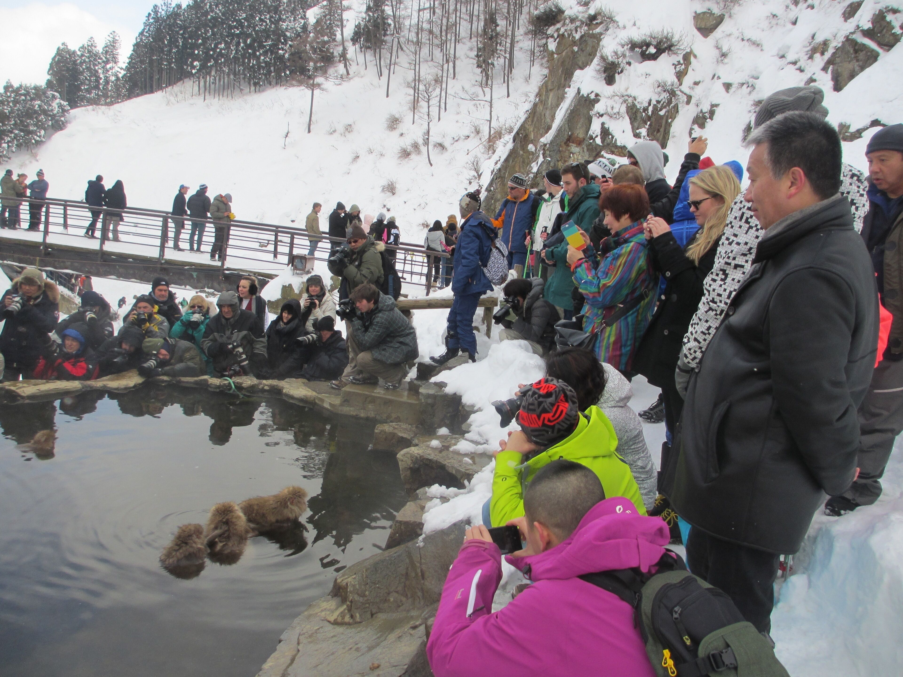 A group of people gathered around a pond with snow on the surrounding rocks and trees.