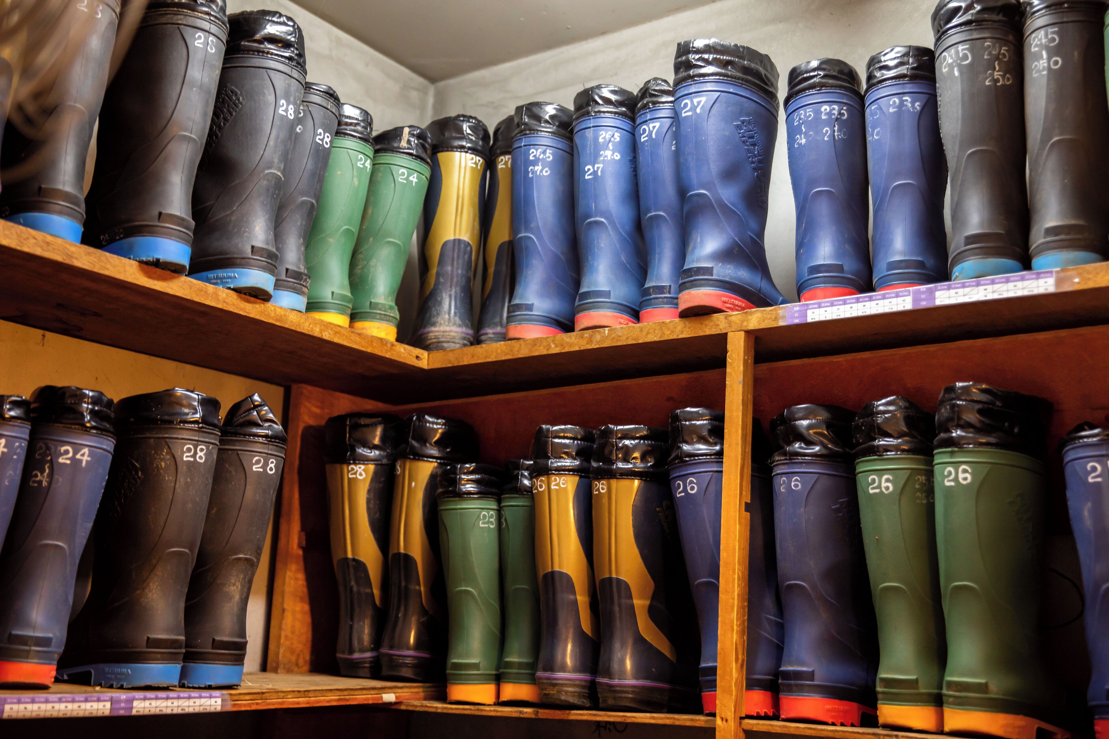 Een plank met regenlaarzen in verschillende kleuren en met cijfers.