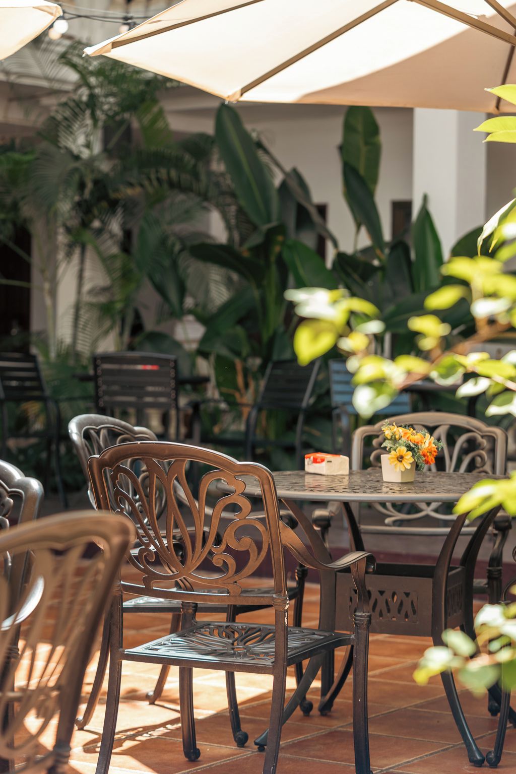 An outdoor patio area with metal chairs and tables, surrounded by potted plants.