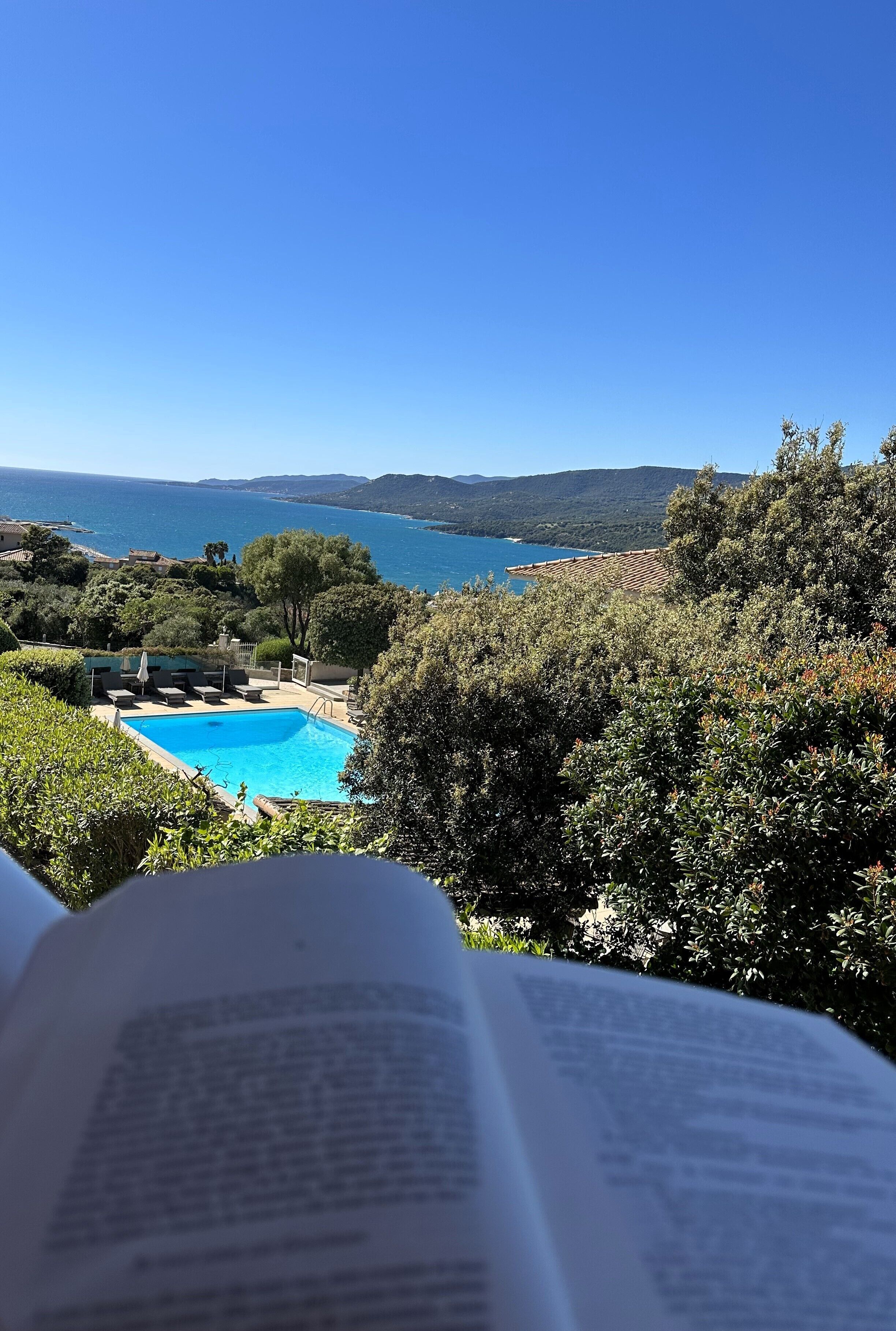 A view of a swimming pool surrounded by lush greenery and a clear blue sky.