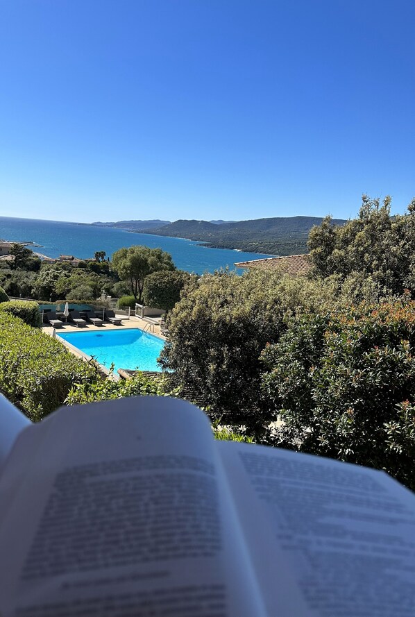 Vista de una piscina rodeada de exuberante vegetación y un cielo azul despejado.