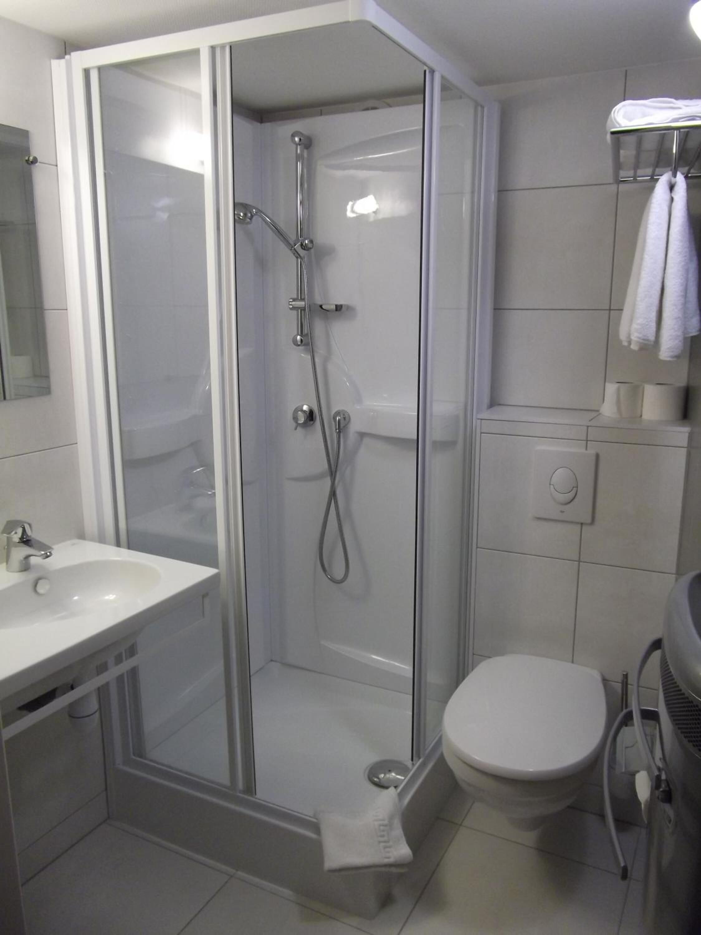 A modern bathroom with a glass-enclosed shower, a toilet, and a sink.