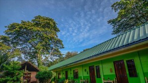 Un bâtiment écologique doté d’un toit en métal ondulé, entouré d’une végétation luxuriante et de plantes en pot.