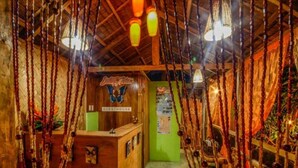 Un intérieur rustique avec un comptoir d’accueil en bois portant l’inscription « MAISON D’HÔTES » et un mur vert agrémenté d’un panneau d’affichage.