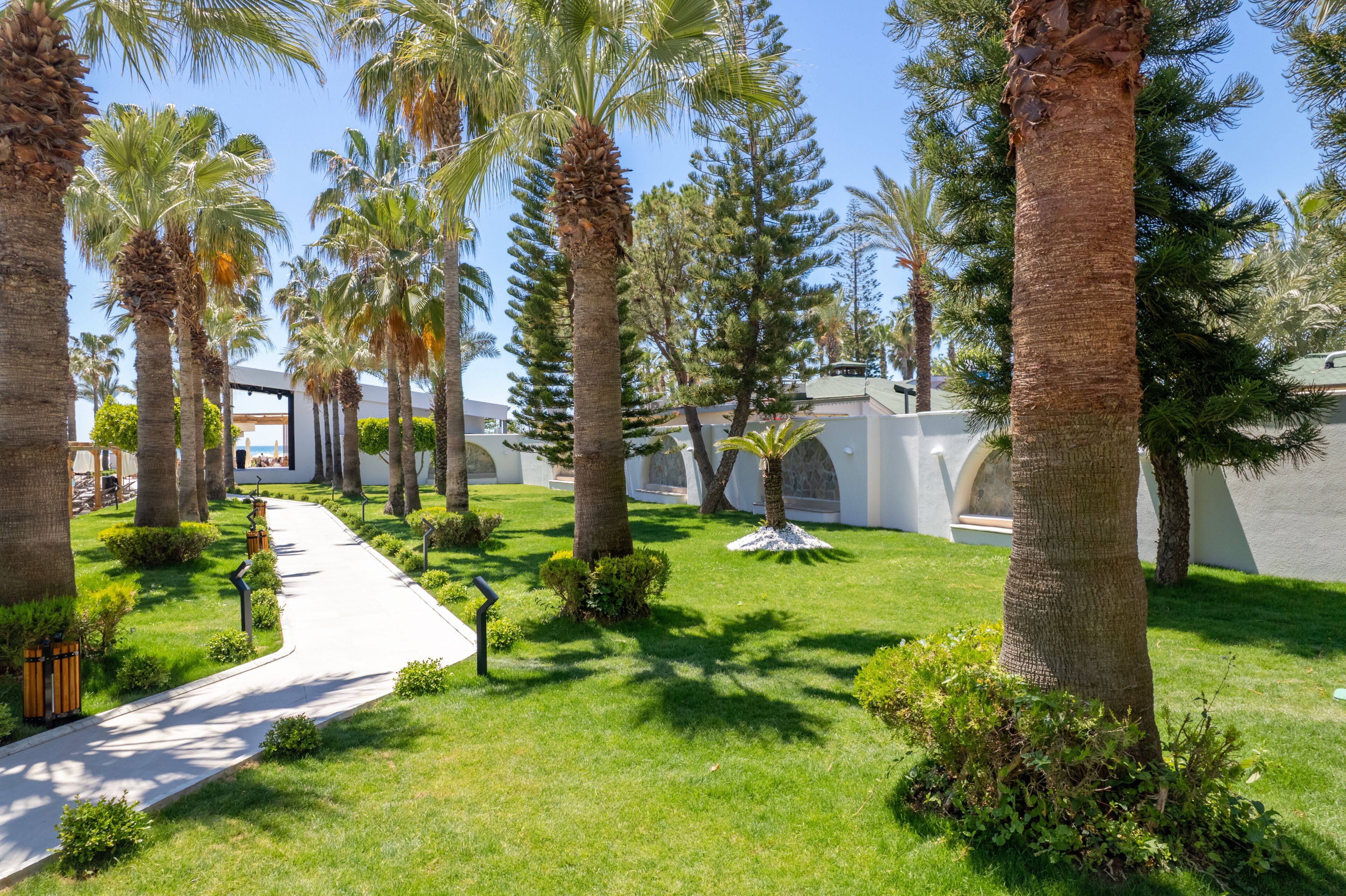 Un sendero que atraviesa una zona ajardinada con palmeras y un edificio blanco con arcos.