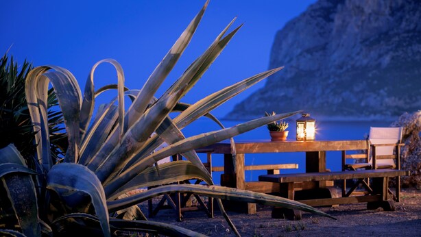 Una mesa de madera con un farol y una planta en maceta.