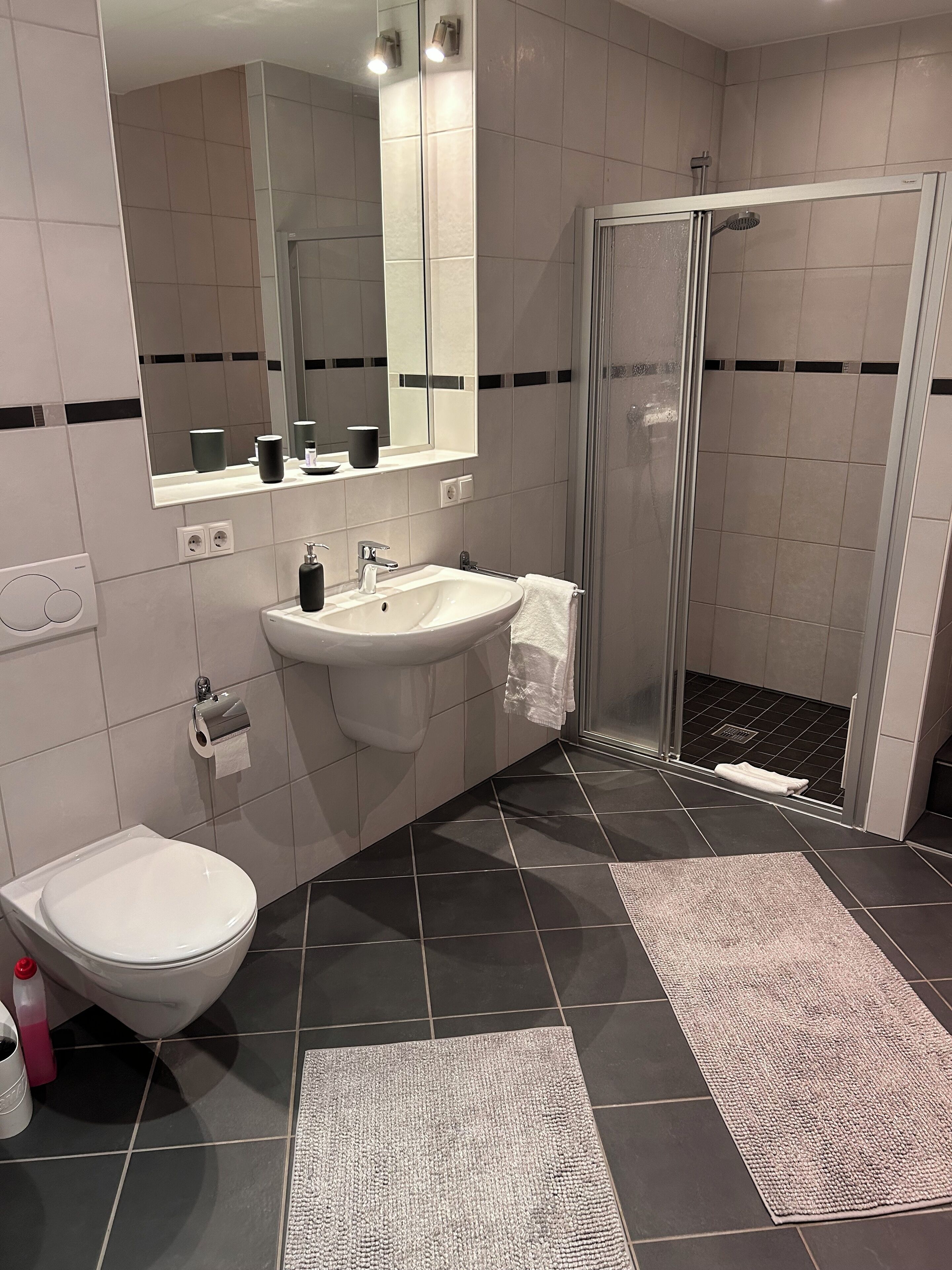 superior apartment | bathroom | free toiletries, hair dryer, bathrobes, slippers