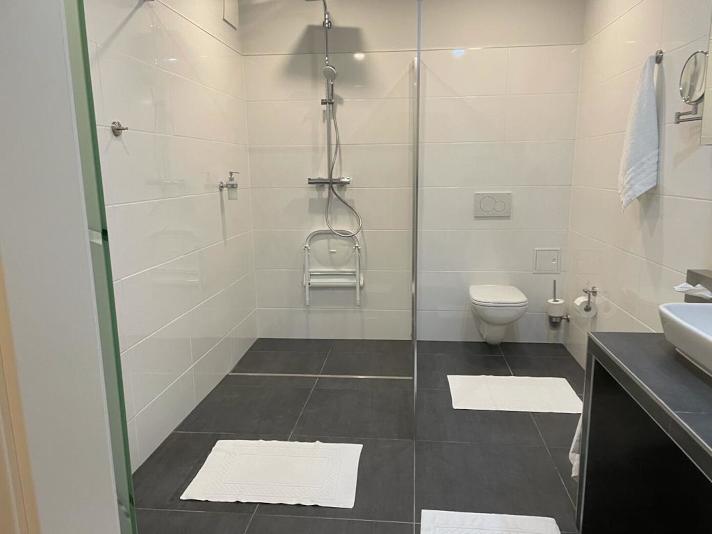 A modern bathroom with a glass-enclosed shower, a white toilet, and a black sink.