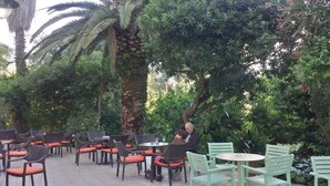 An outdoor cafe with wicker chairs and tables, surrounded by lush greenery and palm trees. - Ipsos Beach (Corfu)