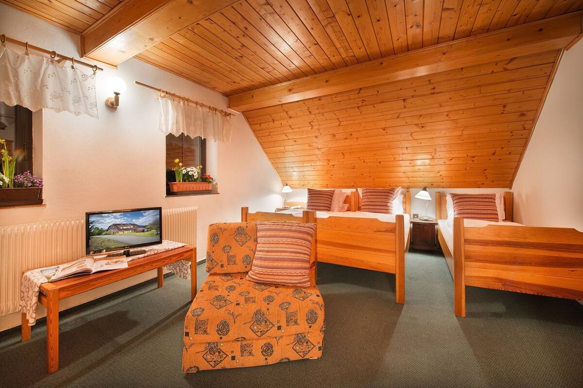 A cozy room with a wooden ceiling, a television on a small table, a sofa, and two single beds.