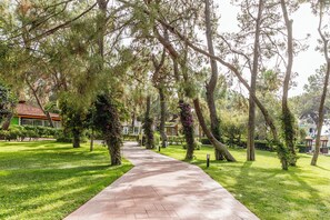 حديقة