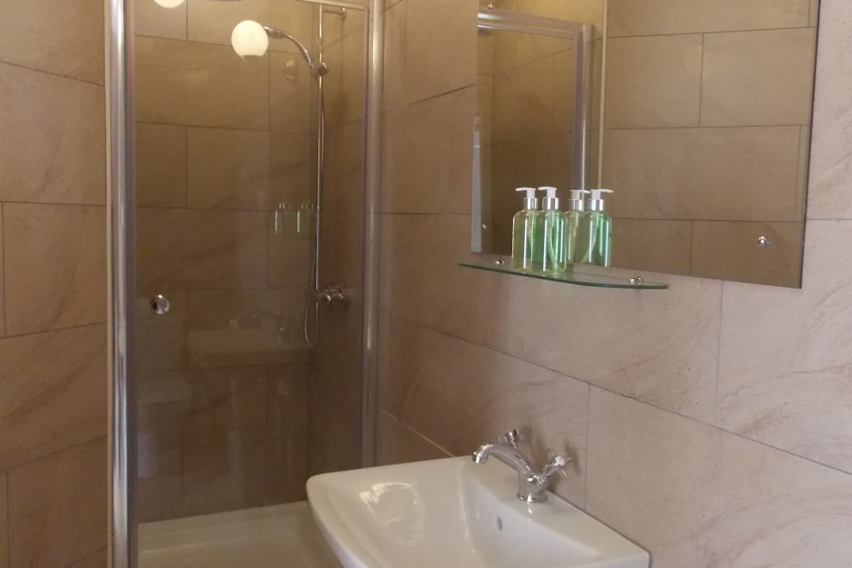 shower, free toiletries, hair dryer, towels