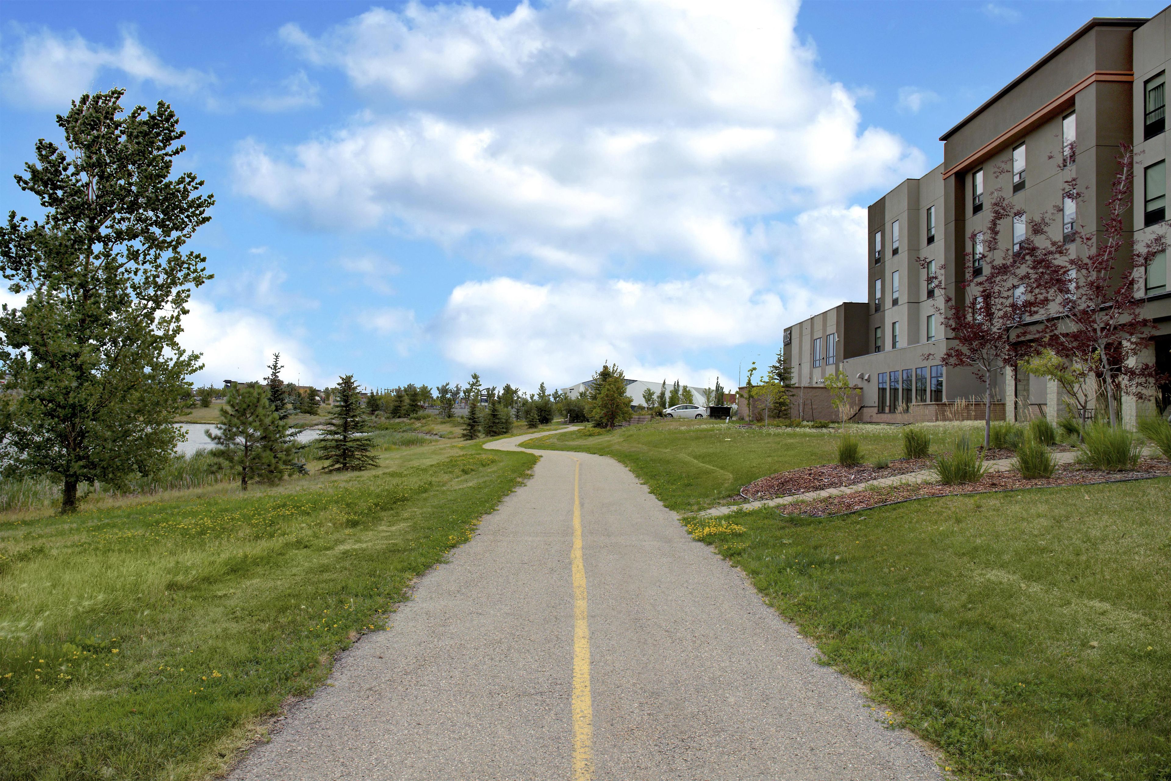 A pathway leading to a building with a clear sky and trees on either side.