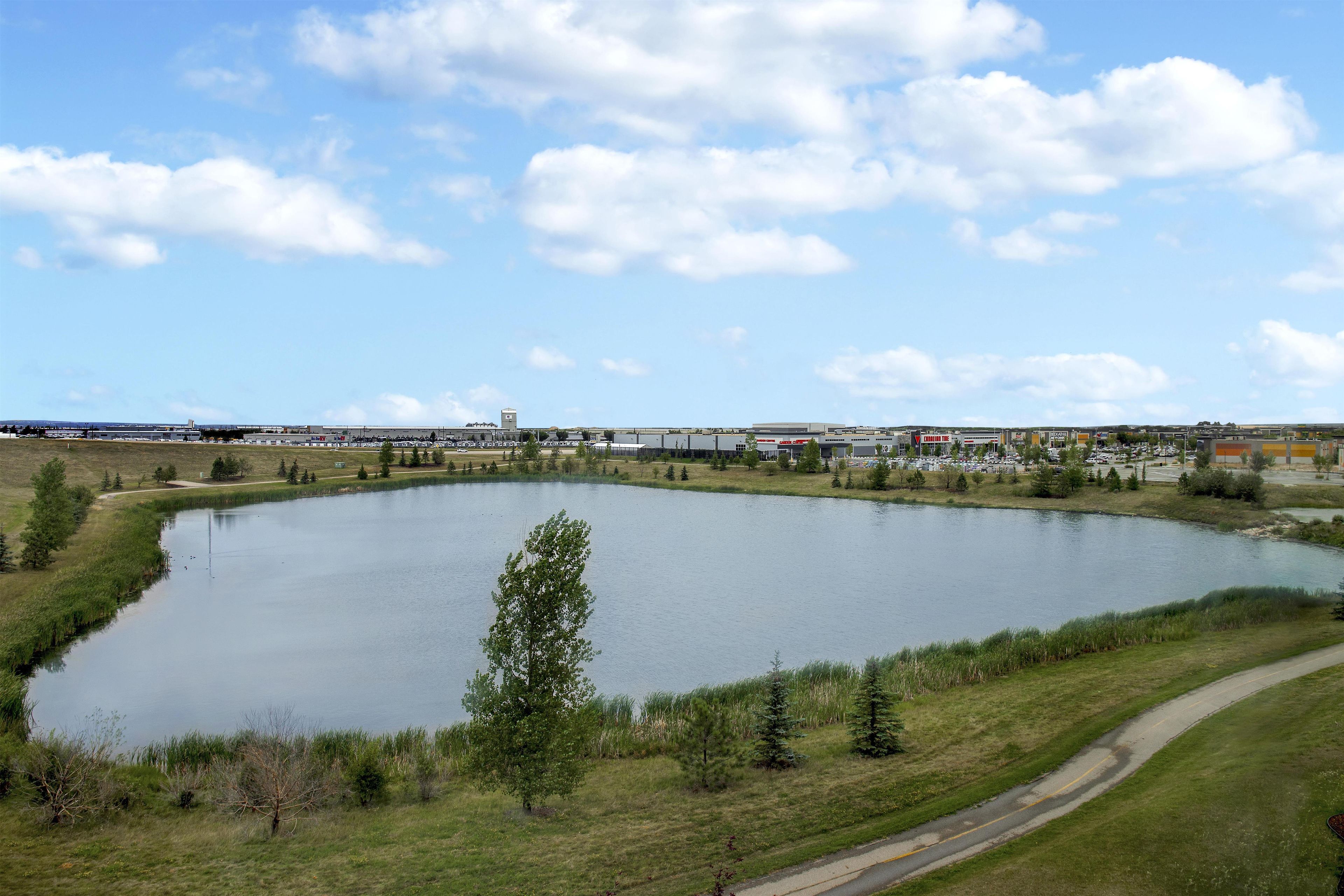 A large body of water surrounded by grassy areas and a few trees.