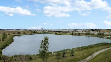 A large body of water surrounded by grassy areas and a few trees.