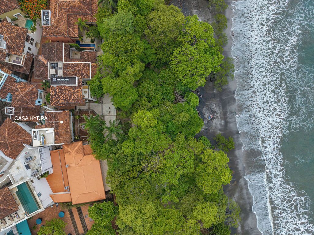 Ein Luftbild von Casa Hydra, das ein direkt am Strand gelegenes Anwesen mit dichter Bepflanzung, einem Swimmingpool und einem Strand mit Wellen zeigt.