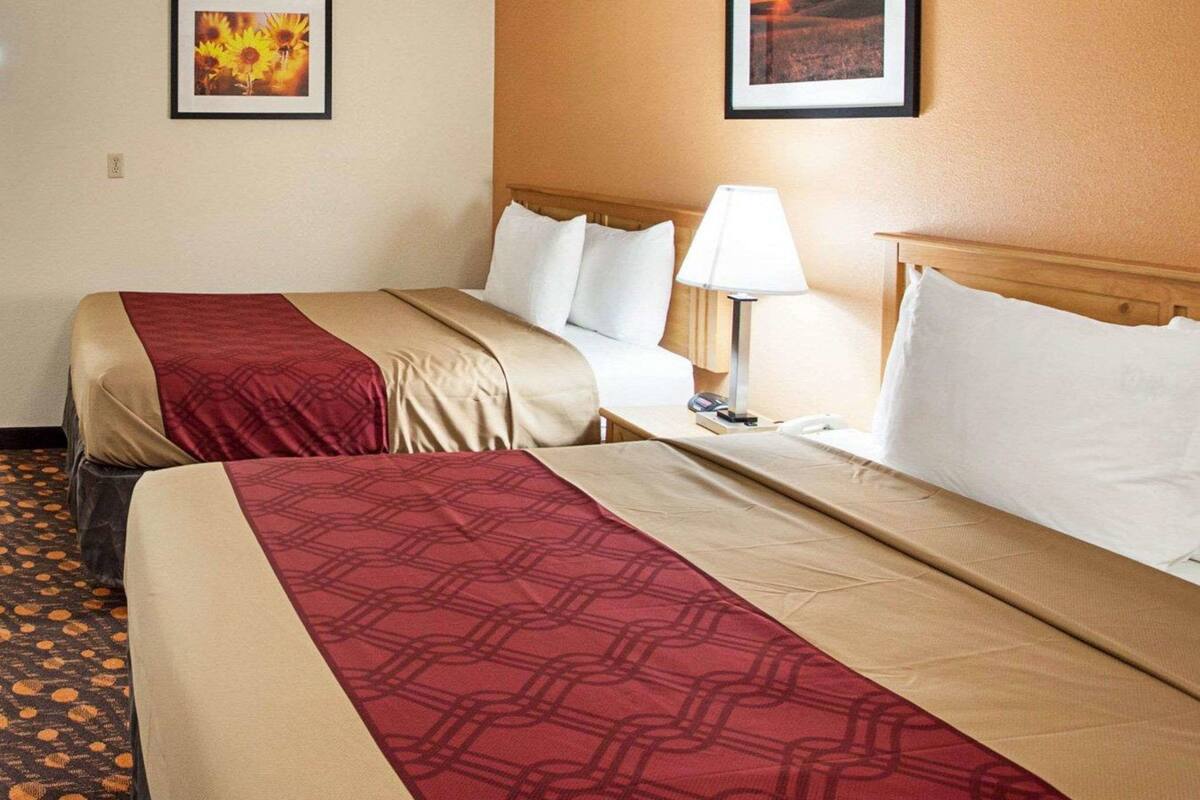 Habitación de hotel con dos camas, una mesita de noche con lámpara y dos cuadros en la pared.
