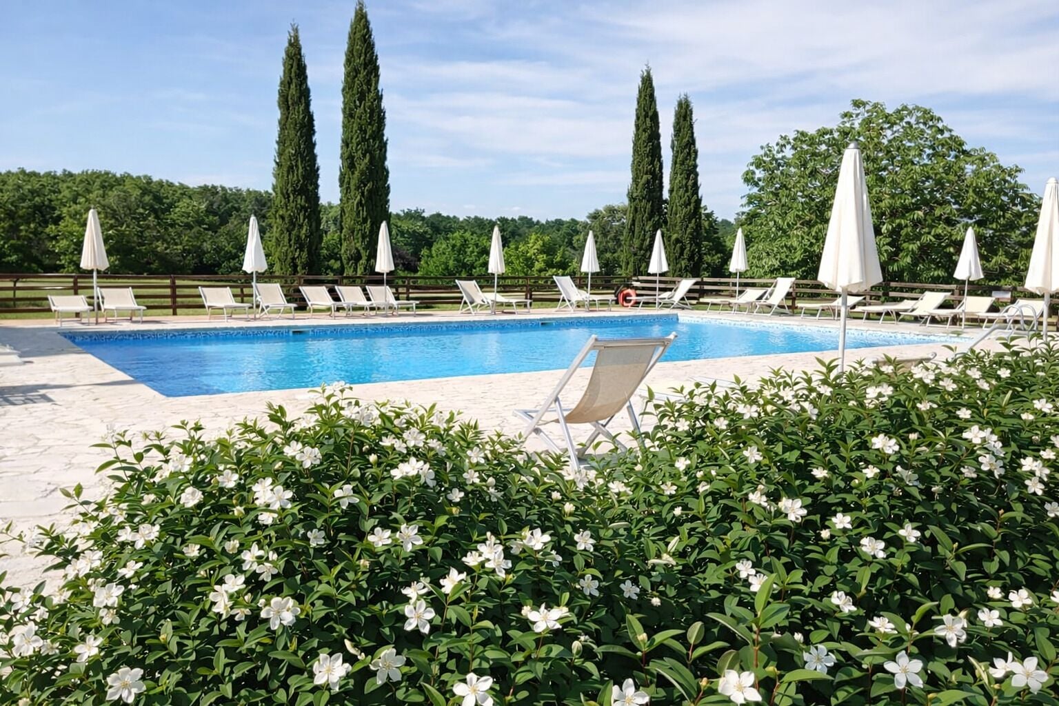 Une piscine entourée de verdure et de grands arbres, avec des chaises longues et des parasols.