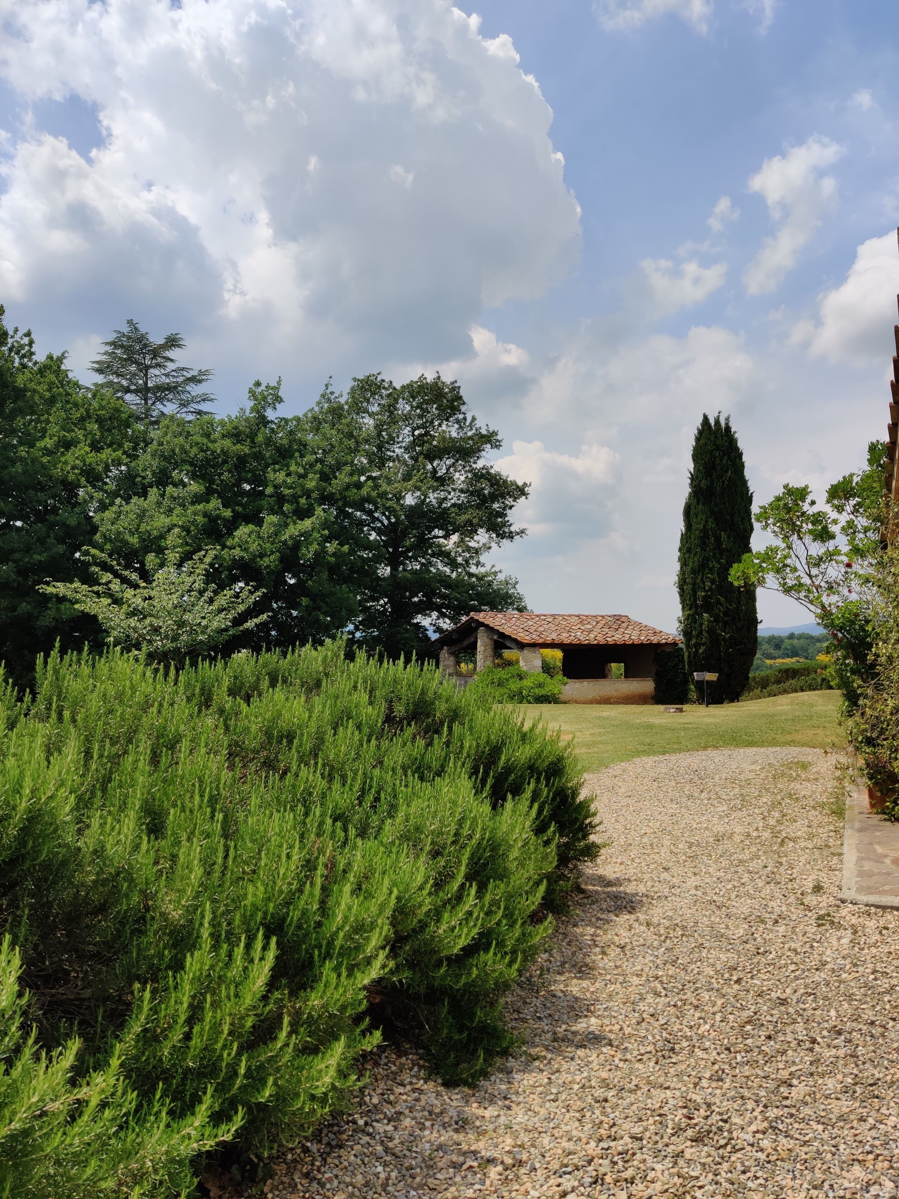 A gravel path leading to a rustic house with a tiled roof, surrounded by lush greenery and tall trees.