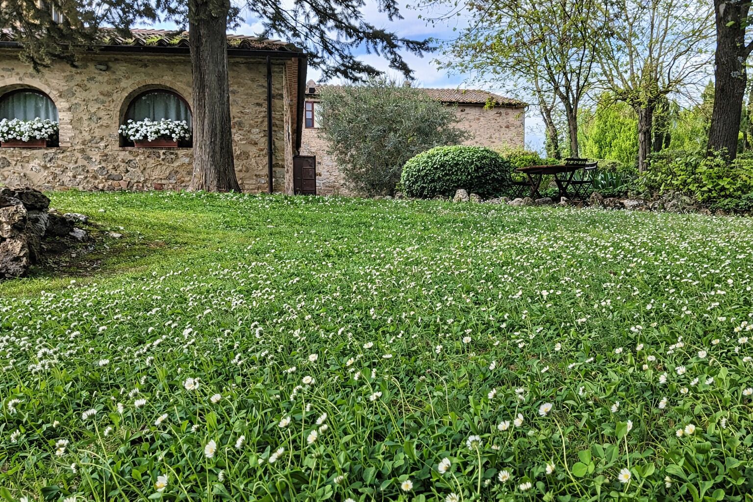 Edifici de pedra amb finestres d'arc i jardí ben cuidat ple de flors blanques.