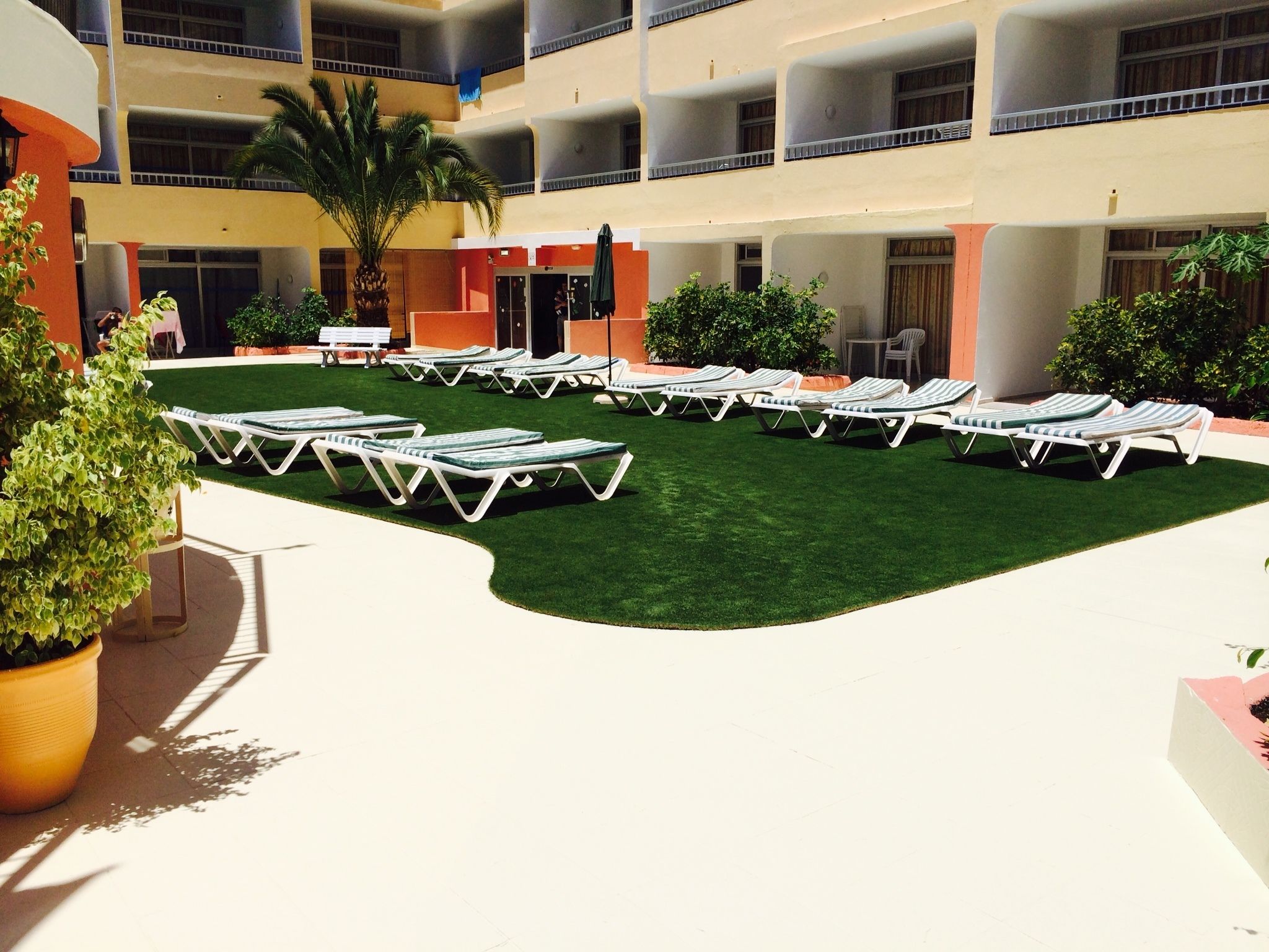 A courtyard with sun loungers arranged in rows, surrounded by a building with multiple balconies and a palm tree.