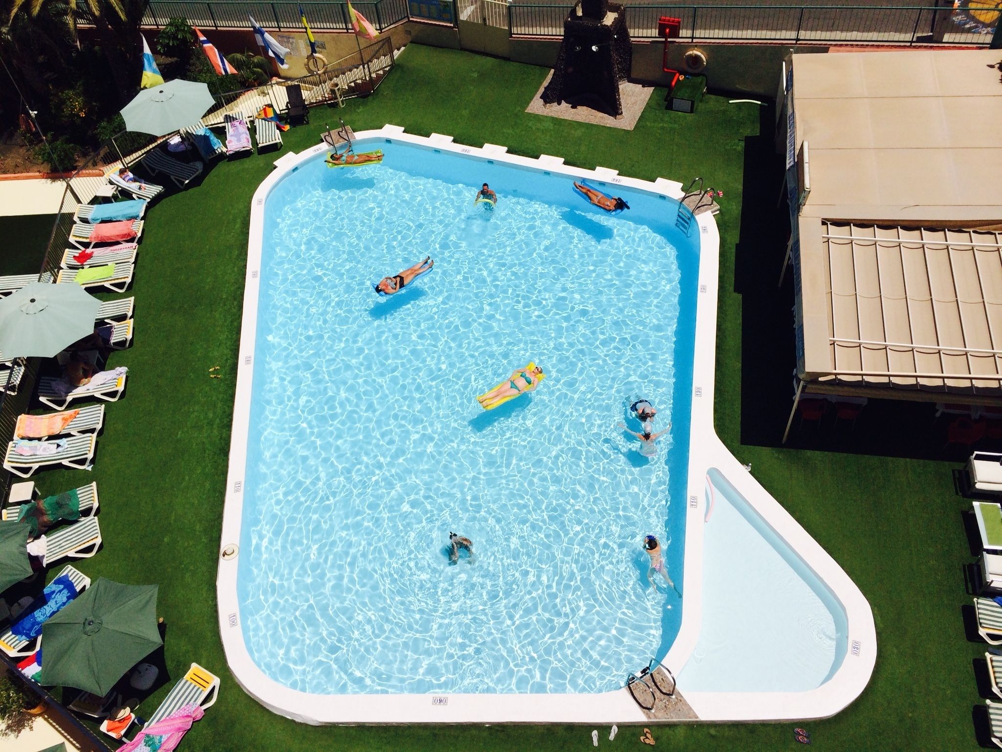 Una piscina rectangular con tabla de salto, rodeada de sillas de descanso y sombrillas.