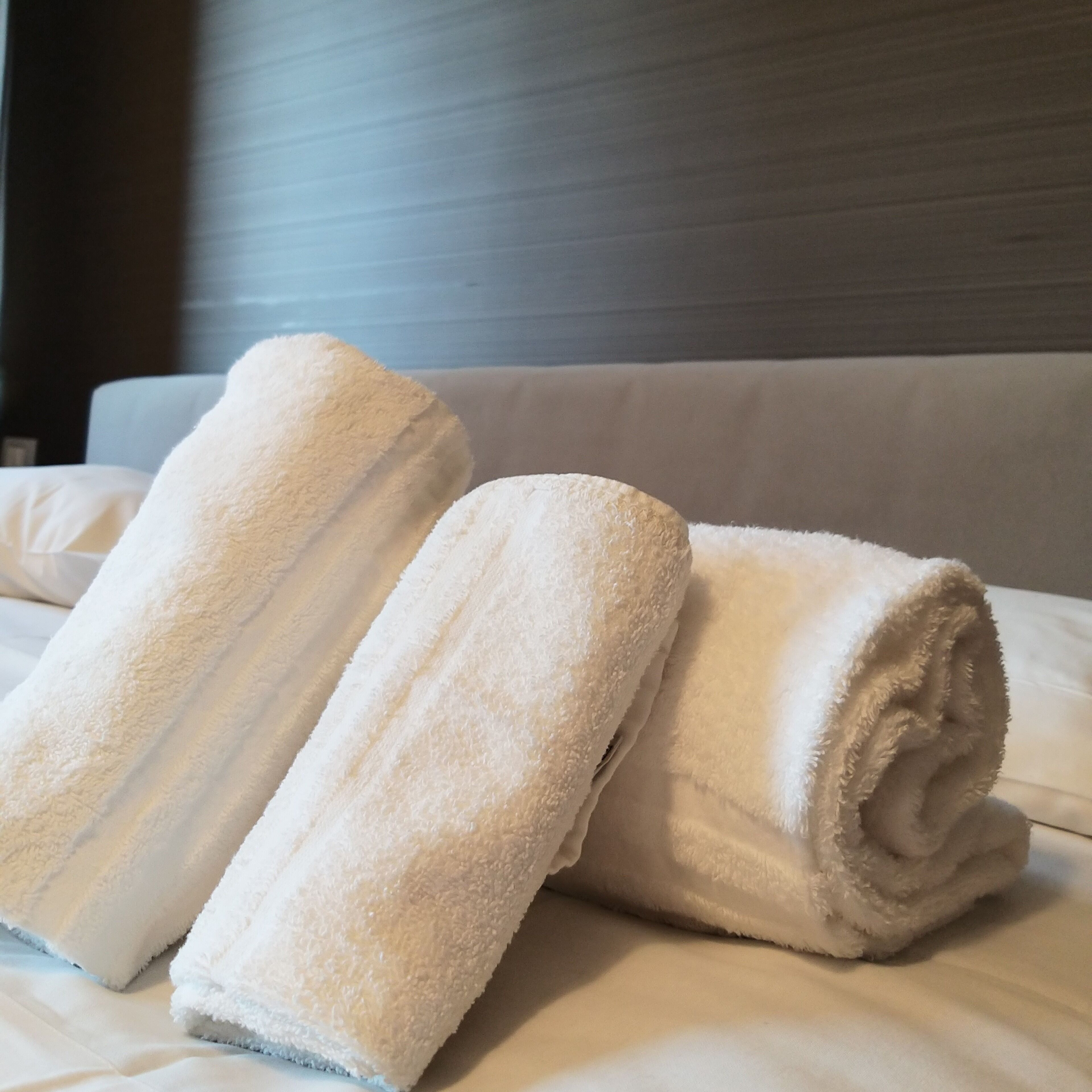 Two rolled white towels on a bed with a plain headboard.