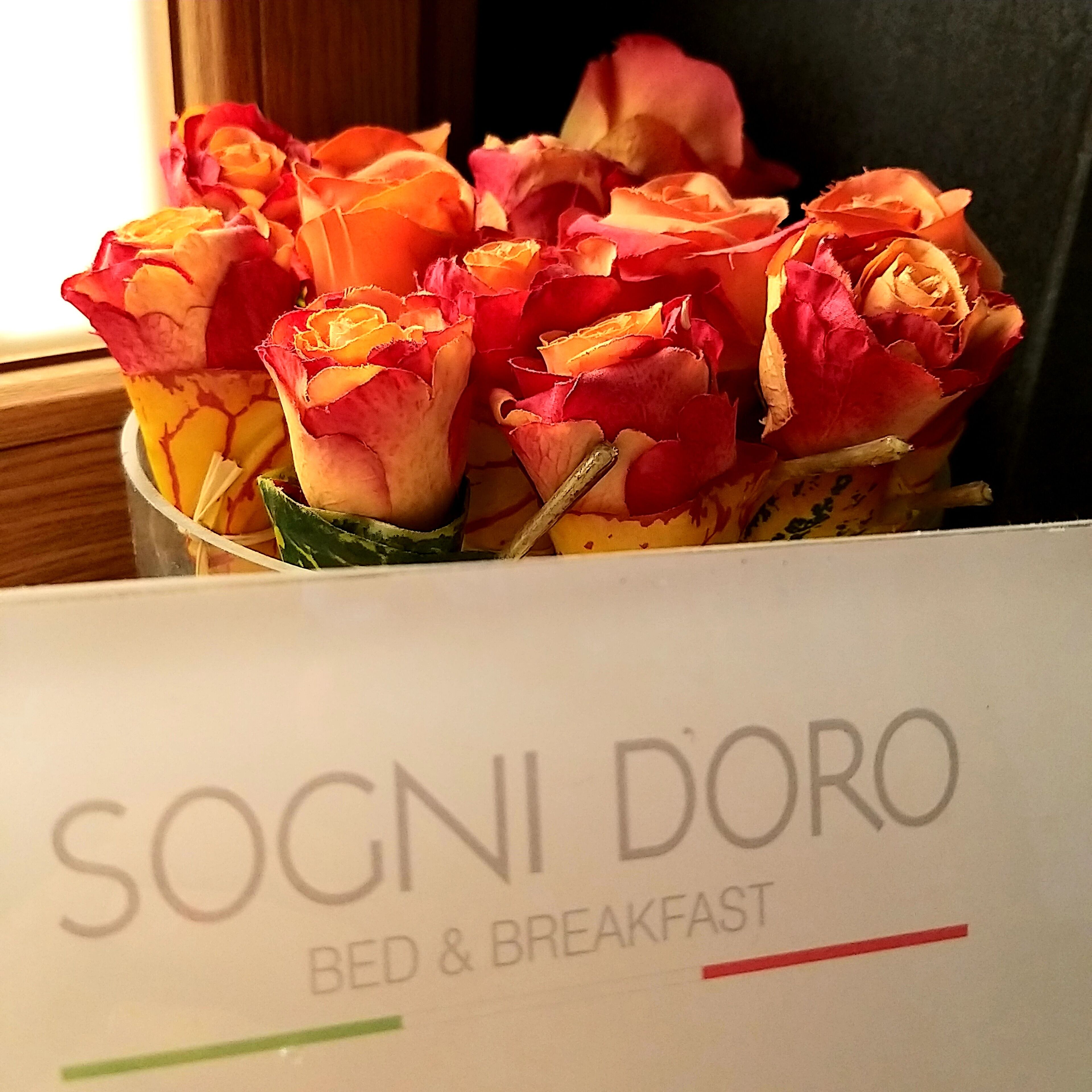 Un ramo de rosas en una caja con la etiqueta 'SOGNI DORO BED & BREAKFAST'.