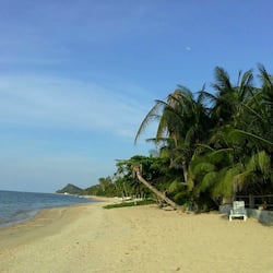 Vista da propriedade