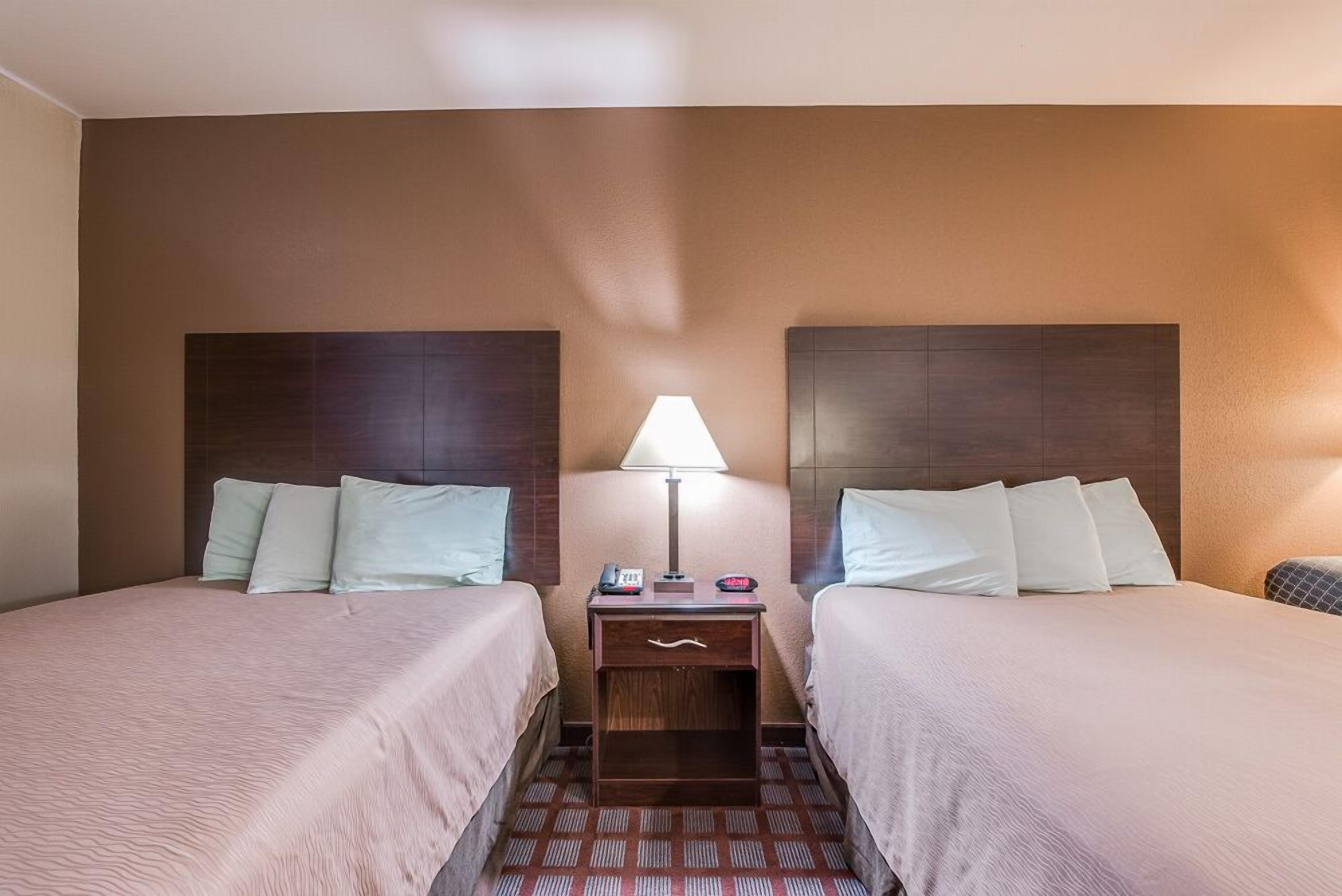 A hotel room with two beds, a nightstand with a lamp, and a patterned carpet.