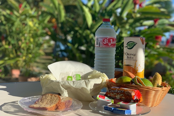 Suíte superior, 1 quarto, terraço, vista parcial para o oceano | Terraço/pátio