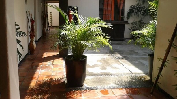 Un couloir au sol carrelé, agrémenté de plantes en pot, et une porte donnant sur une pièce avec une fenêtre et des rideaux.