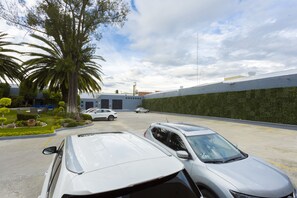 A parking lot with several cars, a large palm tree, and a building with a green wall. - Hotel Panamerican (Puebla)