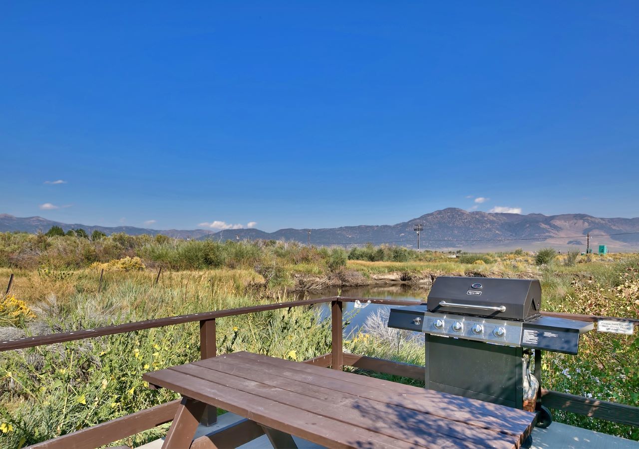 バーベキュー / ピクニック エリア