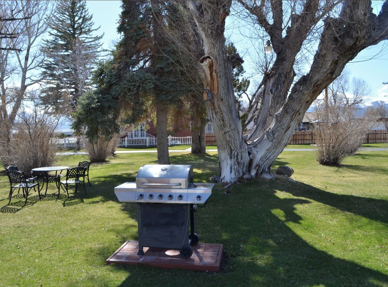 Una griglia da barbecue in un'area esterna erbosa, con un tavolo e sedie, circondata da alberi.