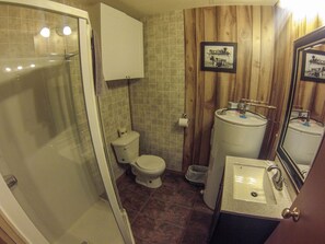 A bathroom with a shower, toilet, sink, and wooden paneling. - Pine Valley Resort (Head, Clara and Maria)