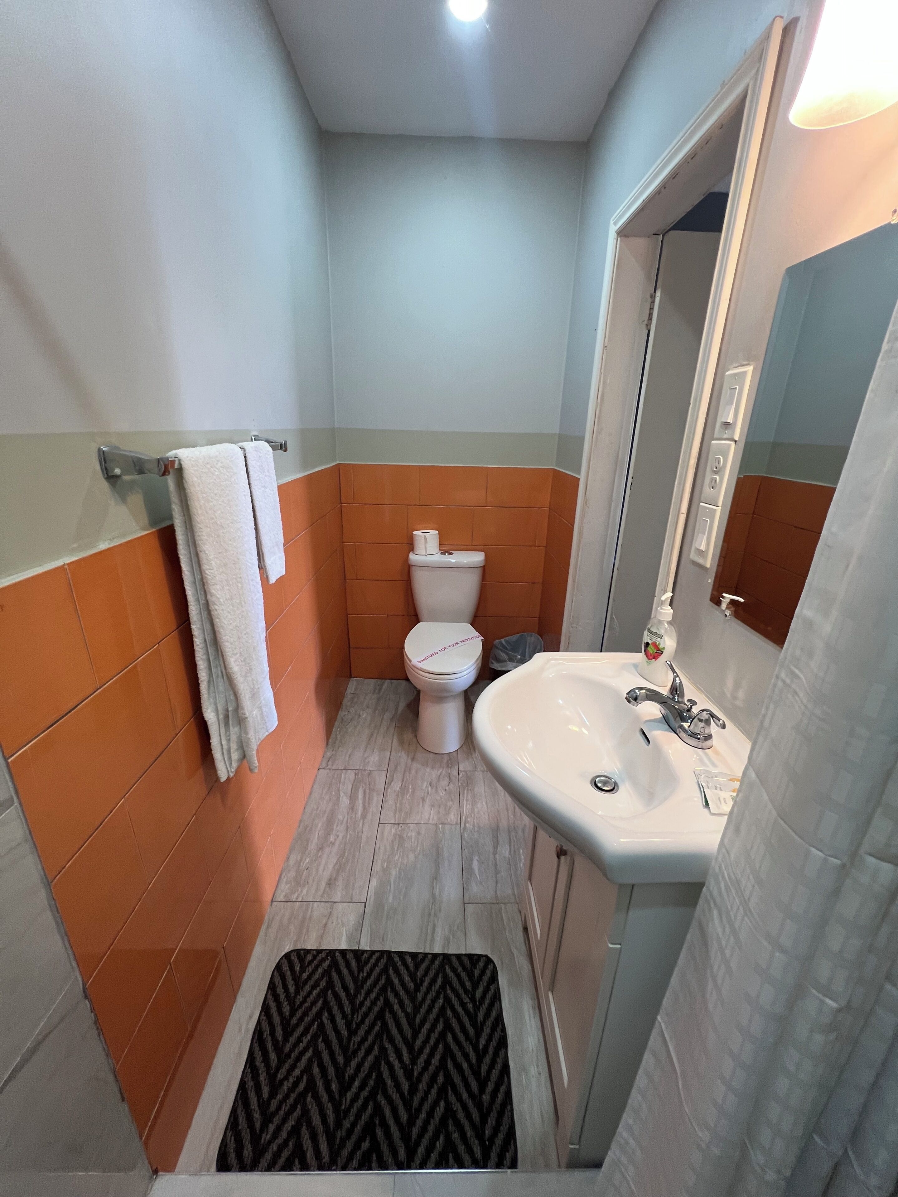 Un baño con inodoro, lavamanos y espejo.
