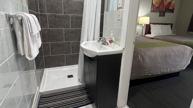 Une salle de bain avec une douche, un lavabo et un lit dans la pièce adjacente.