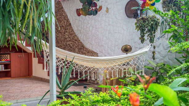 Una hamaca colgada entre dos columnas en un exuberante jardín interior con diversas plantas y una estantería.