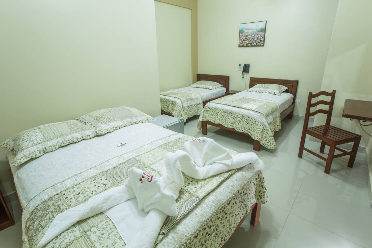 Triple Room | Minibar, iron/ironing board (on request), free WiFi