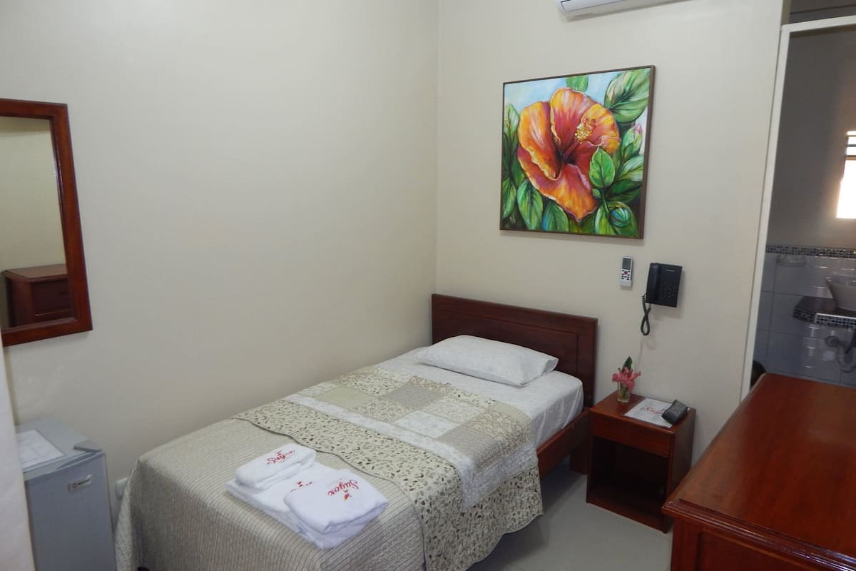 Single Room | Minibar, iron/ironing board, free WiFi