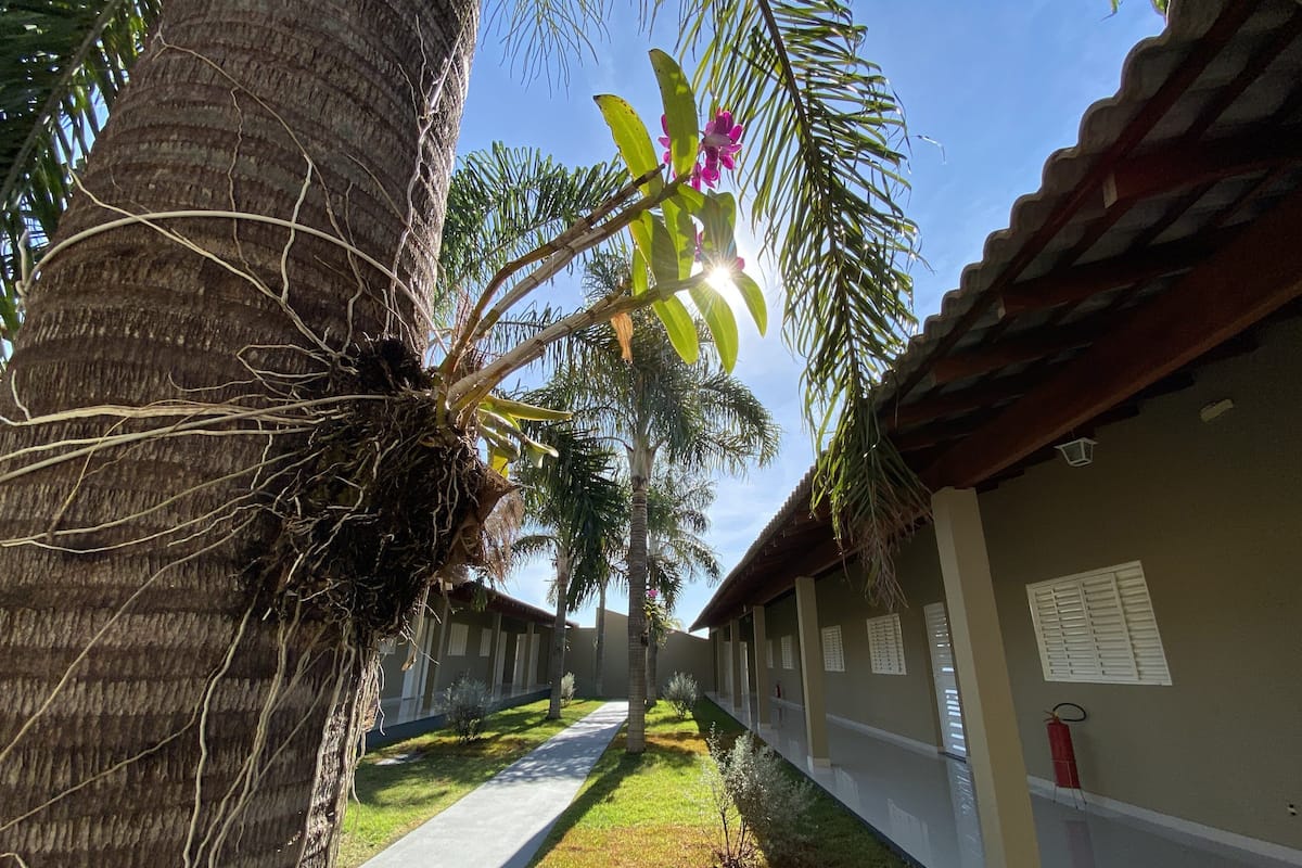 A pathway flanked by palm trees and a building with a tiled roof.