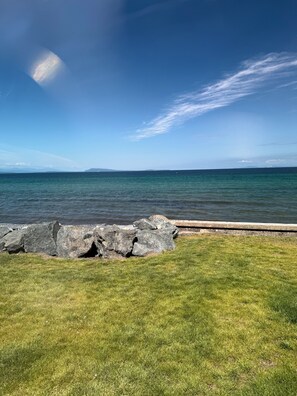 A grassy area with a rocky shoreline and a view of the ocean.