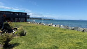 Une propriété située sur la côte, avec une pelouse verdoyante, un bâtiment doté d’un toit bleu et un rivage rocheux.