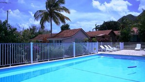 Ein Swimmingpool mit weißem Zaun, Liegestühlen und einer Palme.