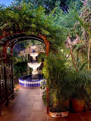 Terrace/patio - The Mexican Inn (Cabo San Lucas)